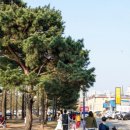 만석공원 이미지