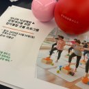 [25년 3분기] 시니어 건강근력 | [교육후기] 후반기 특강 20회차 / 시니어 낙상 예방 &amp; 균형개선을 위한 감각통합 굿볼 프로그램