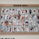 더누리개 이미지