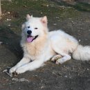 풍이농장 이미지