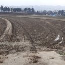 주덕읍사무소 이미지