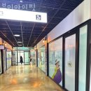 브이아이핏 이미지