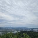 세종동_전월산 무궁화 테마공원 이미지