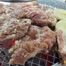 경포파인 이미지