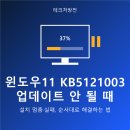 KB소프트 | 윈도우11 KB5121003 업데이트 안 될 때