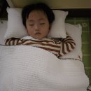 정원숲어린이집 이미지