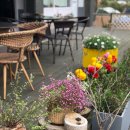 도자기카페D토 이미지