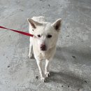 삼산종합동물병원 이미지