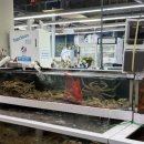 햇살과일 구미본점 이미지