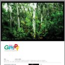 양덕동532 이미지