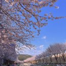 동삼지구대 이미지