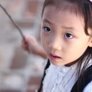 채이네 Daum카페