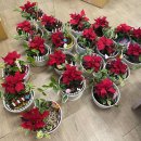 예천여자중학교 앞 이미지