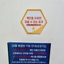 자연대로 | 영종도 아이랑 가기 좋은 찜질방 블루오션 웰니스스파 방문 후기