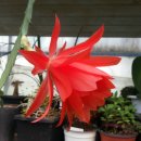 오색무지개 이미지