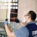 벌레잡는사람들