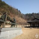 부여백제(서천) 이미지