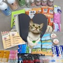 pet143하3092 | 양손 가득 돌아온 제20회 대구 펫쇼 후기 (2023)