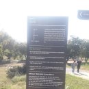 DMZ 평화의 길 8-1코스(우회로) 이미지