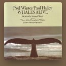 지리를 알면 보이는 세상 | 프로젝트 헤일메리 후기, 고래가 떠오른 이유 (셀프케어에 대한 생각)