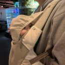 풍기테마호텔 | 대전 롯데시티호텔 숙박후기 및 1박2일 여행코스, 신세계백화점/익선잡방/성심당/아쿠아리움(100일 아기...