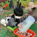 영창농장 이미지