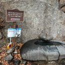 NR-20[지리산대로]-상-13 | [100대 명산] 11월 지리산 천왕봉 일출산행 다음매일산악회 후기