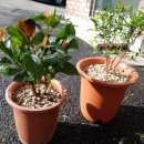 화산동근로자복지회관 이미지