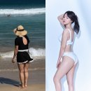 드라코짐 이미지