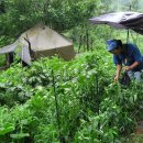 다소농장 이미지