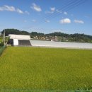 오송3산단공인중개사사무소 이미지