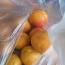 송악농장 이미지