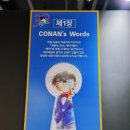 대구전시/ 연재30주년기념명탐정코난 대구전 후기