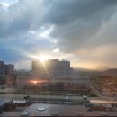 트리니움여성병원 이미지