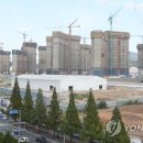 진영패션아울렛거리 이미지