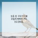 낙성대공인중개사사무소 이미지