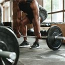 톤 더 바디 이미지