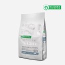 젤리도그 이미지