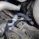 샘카센타 이미지