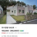 유수암쉘1-101 | 제주 애월 숙소 독채펜션 아이랑 가기 좋은 숙소 '애월 유수암쉘'