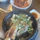 청주 강내점 롯데리아 | 감기를 이겨낸 입맛(24. 11. 4 ~ 24. 11. 9)