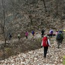 학교가는길 이미지