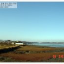 카무인텔 이미지