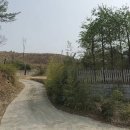 강릉부동산씨리얼 공인중개사사무소 이미지