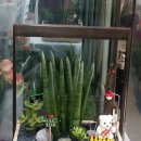 테크노 무인텔 이미지