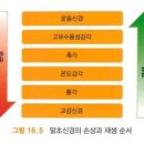 민연축산 | 신경계 말초신경손상 Peripheral Nerve Injury 개요