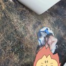 길을보여줘 | [후기] 영화 <뒷자리에 태워줘> #초고수위 #😮#혼자보세요