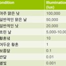 럭스조명