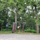입화산 자연휴양림 | 🏞️ 울산 입화산자연휴양림에서 힐링해요!