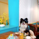 해피베어 이미지